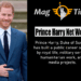 Prince Harry Net Worth